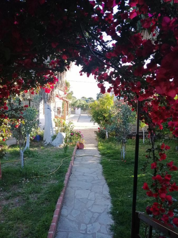 Armonia Studios Agios Georgios  Exteriér fotografie